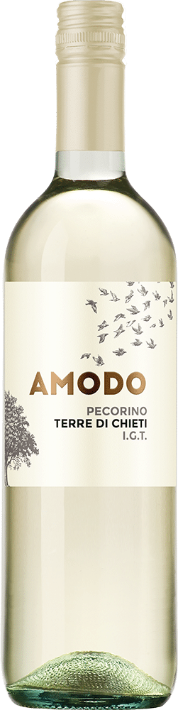 afbeelding-Amodo Pecorino