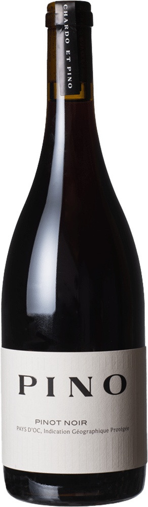 afbeelding-ChardoPino Pinot Noir 'Pino'