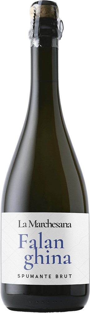 afbeelding-La Marchesana Falanghina Spumante Brut